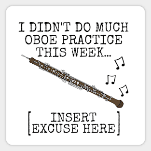 I Didn't Do Much Oboe Practice, Oboist Woodwind Musician Magnet